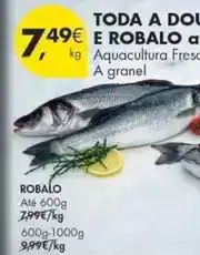 Pingo Doce Papaia promoção