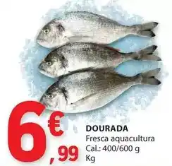 E.Leclerc Aquacultura - dourada promoção
