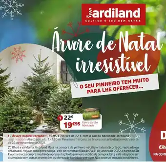 Jardiland Árvore de natal promoção