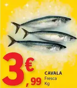 E.Leclerc Cavala promoção