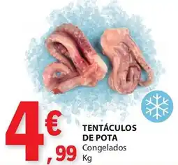 E.Leclerc Tentáculos de pota congelados promoção