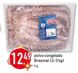 Bolama polvo congelado Brasmar (2-3 kg) promoção