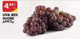 Pingo Doce Globe - uva red promoção