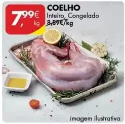 Pingo Doce Coelho promoção