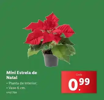 Lidl Mini - estrela de natal promoção