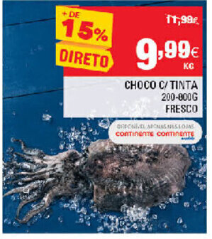 Continente Choco C/ Tinta 200-800g promoção