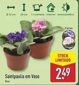 Pingo Doce Balconi - pandoro clássico promoção