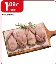 Intermarché Codorniz promoção