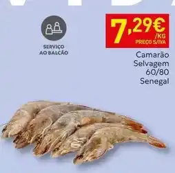 Continente Choco c/ tinta promoção
