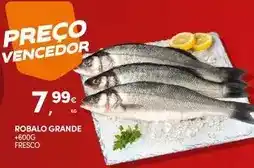 Continente Robalo grande promoção
