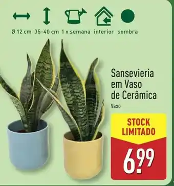 Recheio Filetes peixe gato riscado promoção