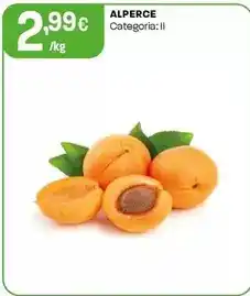 Continente Mimosa - leite uht promoção