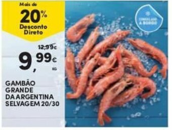 Continente Gambão Grande da Argentine Selvage 20/30 promoção