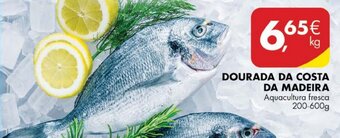 Dourada da Costa da Madeira 200-600g
