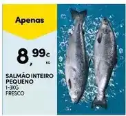 Continente Focaccia azeite e alecrim promoção