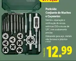 Continente Purinaone - alimento seco p/ cao promoção