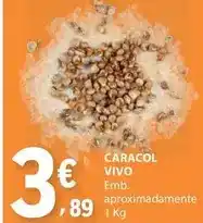 Continente Polvo medio promoção