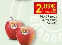 Intermarché Lipton - infusão promoção