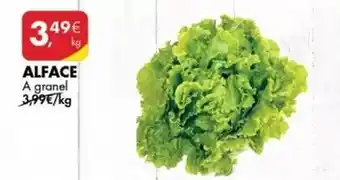 Pingo Doce A+ - alface promoção