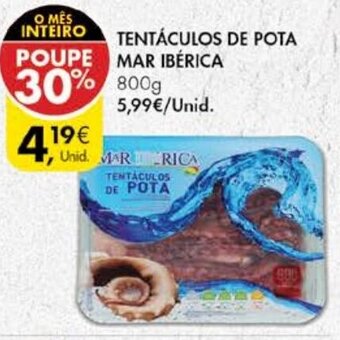 Tentáculos de Pota Mar Ibérica 800g