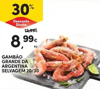 Continente Gambão grande da argentina selvagem 20/30 promoção