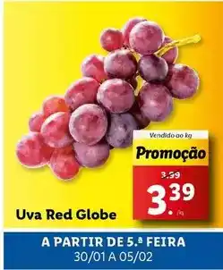 Lidl A+ - uva red globe promoção