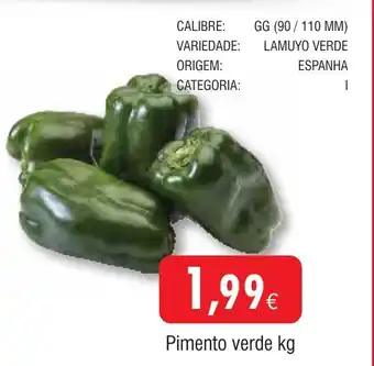 Froiz Pimento verde promoção