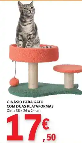 E.Leclerc com - ginasio para gato com duas plataformas promoção