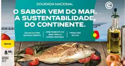 Continente Nacional - agnellos promoção