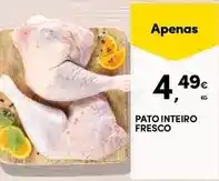 Continente Pato - inteiro fresco promoção