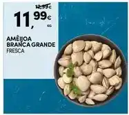 Continente Ameijoa branca grande promoção