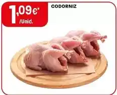 Intermarché Codorniz promoção