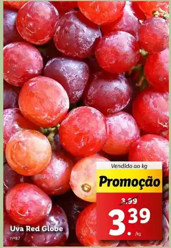 Lidl Globe - uva red promoção