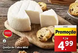 Lidl Portugal - queijo de cabra mini promoção