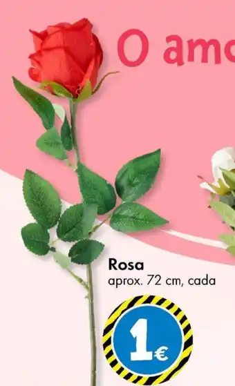 TEDi Rosa promoção