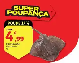 Auchan Raia grande promoção