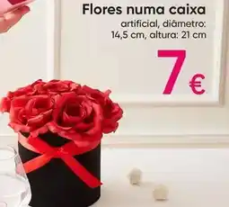 Indi & Cold Flores numa caixa promoção