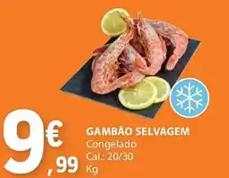 E.Leclerc Gambão selvagem promoção