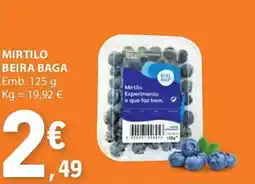 E.Leclerc Mirtilo beira baga promoção