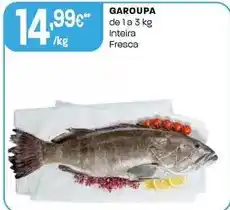 Intermarché Garoupa promoção