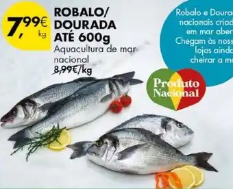 Pingo Doce Robalo/ dourada promoção