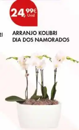 Pingo Doce Arranjo kolibri dia dos namorados promoção