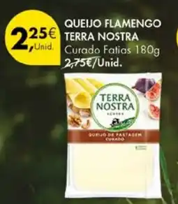 Pingo Doce Queijo flamengo terra nostra promoção