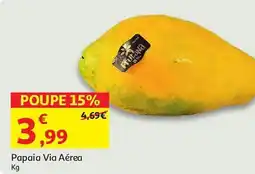 Papaia Via Aérea