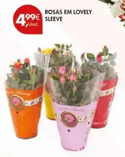 Pingo Doce Rosas em lovely sleeve promoção