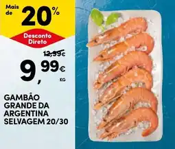 Continente Gambão grande da argentina selvagem 20/30 promoção