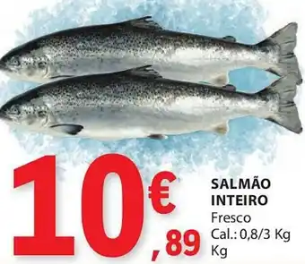 E.Leclerc Salmão inteiro promoção