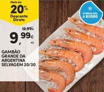 Continente Gambão Grande da Argentina Selvagem 20/30 promoção