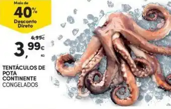 Tentáculos de Pota Continente