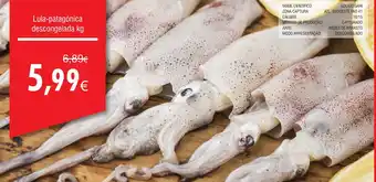 Froiz Lula-patagónica descongelada promoção